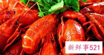 龙虾和什么相克