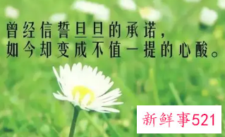 感叹人生无奈心酸的句子简短