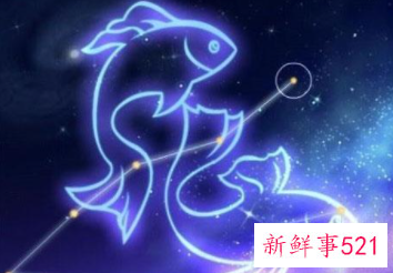 表面傻但城府深的星座