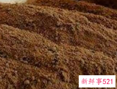 幸福树怎么养才茂盛幸福