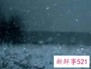 梦见下雨下的到处都是水