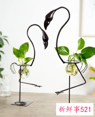 家里面摆件要摆什么好