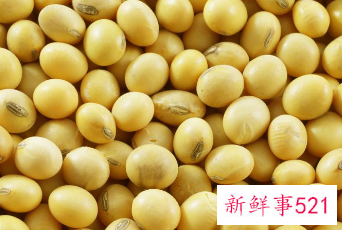 黄豆营养成分