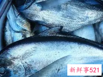 梦见杀鳕鱼是什么意思