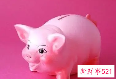 属猪的姻缘在哪个方向