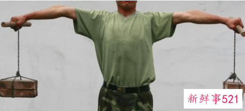 手臂长度和腿长比例