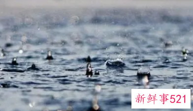 梦见下雨下的到处都是水