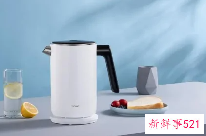 热水壶十大名牌排名