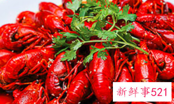 龙虾和什么相克