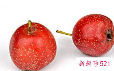 哪些食物适合减肥期间吃