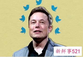 马斯克或将组团收购推特