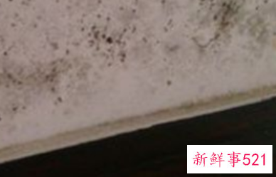 墙面突然湿一块是什么原因