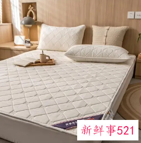 夏天应该垫什么样的床垫