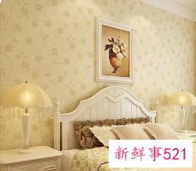室内装修墙纸图片