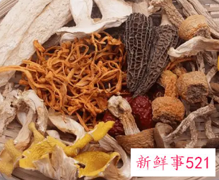 菌类食物的功效与作用