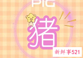 属猪的姻缘在哪个方向