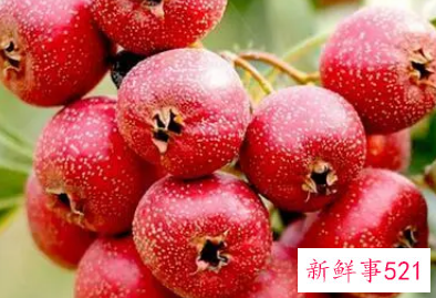 五种水果让你秋季更滋润