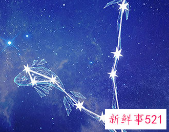 双鱼座喜欢猫咪吗