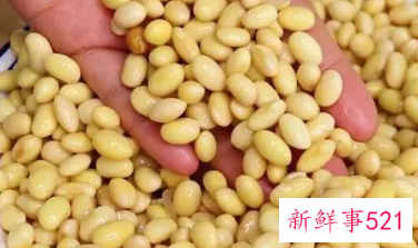 黄豆营养成分