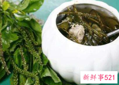 车钱草怎么吃最好