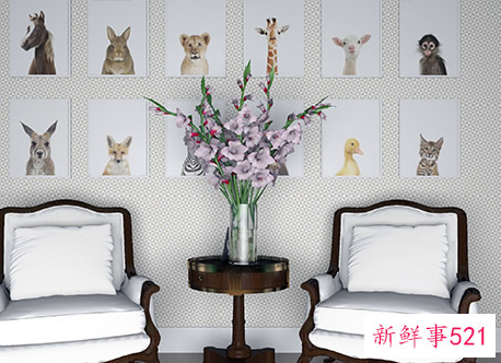 室内装修墙纸图片