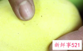 判断芒果熟与不熟