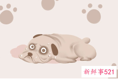 做梦梦见豪宅未见到主人