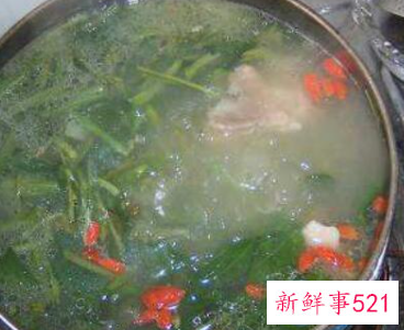 车钱草怎么吃最好