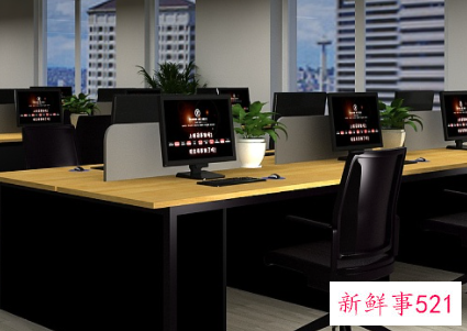 新人部门开会简洁大方自我介绍