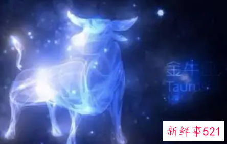 金牛座女生为什么会想找男朋友