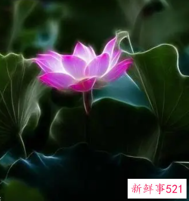 五招教你提升事业运气