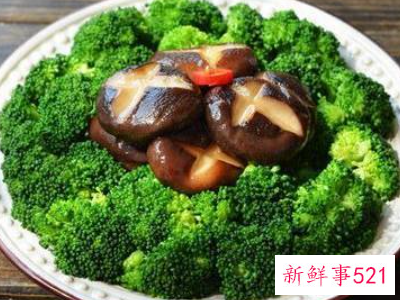 提高免疫力的营养食谱