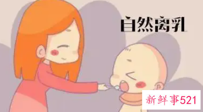 宝宝什么时候断奶合适