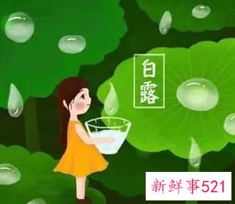 白露的由来