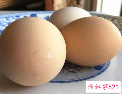 b12维生素缺乏的症状