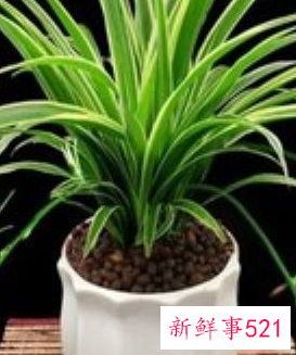 家里热有什么办法降温