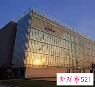 控股公司风险管理什么意思