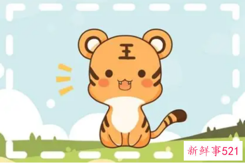 属虎的女性应该做什么行业