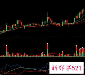 控股公司风险管理什么意思