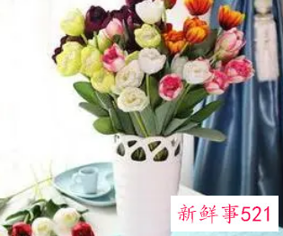 家里为什么不适合摆假花