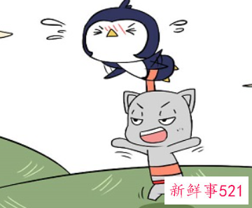 射手男愿意陪哪个星座