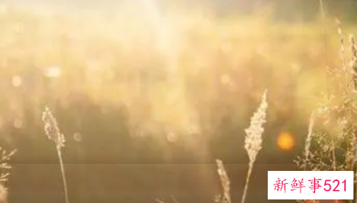 五招教你提升事业运气