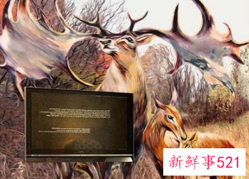 电视背景墙贴什么图案寓意好