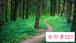 梦见走窄小危险的路