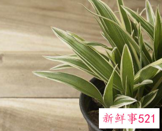 床头柜有味道怎么去除