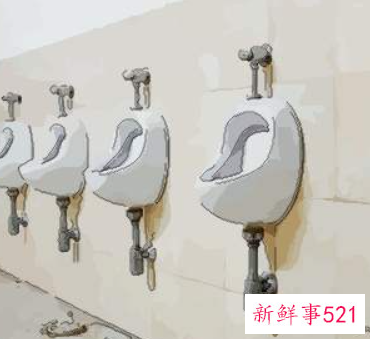 梦见厕所很脏身上爬满蛆