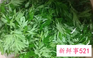 艾叶煮水喝有什么功效及禁忌