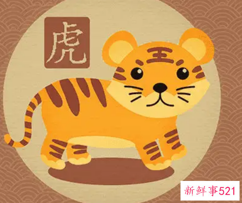 属虎的女性应该做什么行业