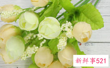 家里为什么不适合摆假花