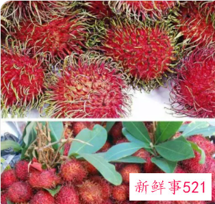 吃红毛丹的好处和坏处